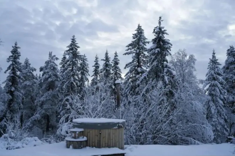 Bain nordique en bois dans une forêt de sapins enneigés
